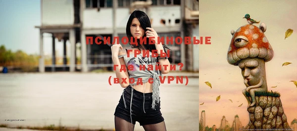 бутират Богданович