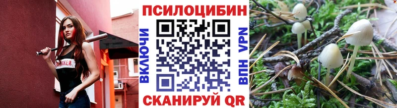 Псилоцибиновые грибы ЛСД  Купить закладки  Лесозаводск 
